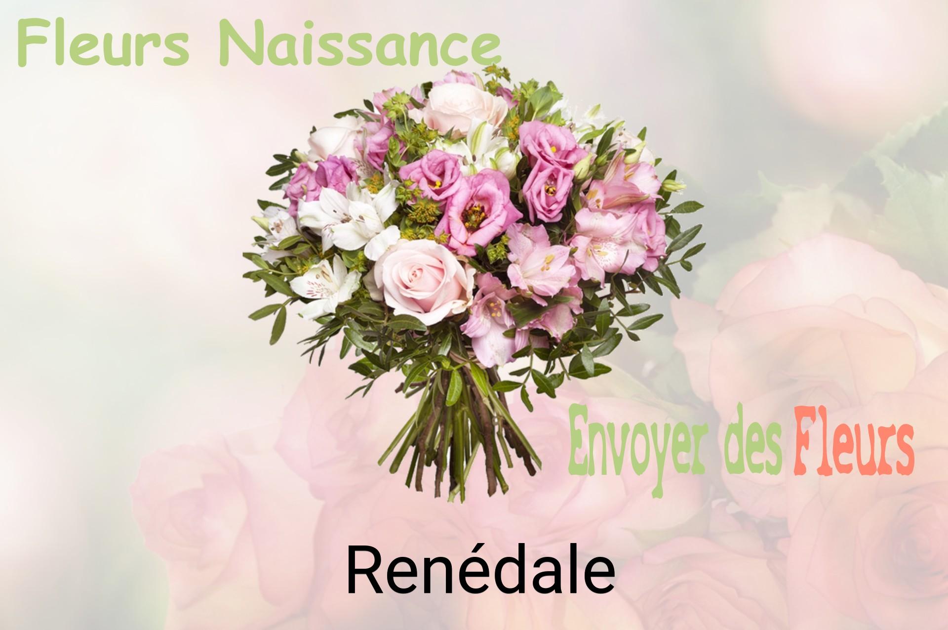 Bouquet de fleurs de naissance livré à Renédale